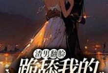 求渣男翻脸，跪舔我的时候忘了？小说的全文免费阅读链接-扫文君