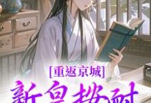 重返京城，新皇按耐不住了！小说完结版章节免费阅读-扫文君