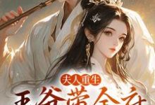 小说《夫人重生，王爷带全府一起火葬场》章节免费阅读-扫文君