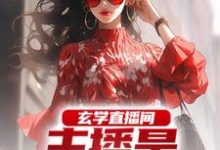 苏晨小说玄学直播间：主播是合约老公在线阅读章节-扫文君