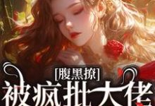 已完结小说《腹黑撩！被疯批大佬暗诱攻陷》在线章节阅读-扫文君