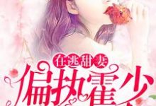 哪里可以免费找到在逃甜妻：偏执霍少放肆宠？-扫文君