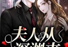 简茵熹傅霆灏小说在线章节免费阅读（夫人从深渊来无弹窗无删减）-扫文君