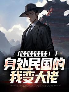 苏墨小说哇哇哇哇！身处民国的我变大佬在线阅读
