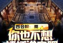 四合院：秦，你也不想棒梗进牢吧程治国小说大结局免费试读-扫文君