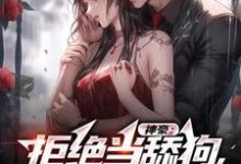 神豪：拒绝当舔狗，我要做渣男（陈泽）在线免费阅读-扫文君