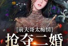 前夫哥太痴情，抢夺二婚新郎席位苏墨菀商鹤野小说大结局免费试读-扫文君