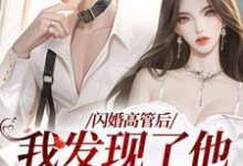 闪婚高管后，我发现了他惊人的秘密这本小说完结了吗？免费查看最新章节-扫文君