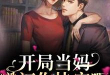 开局当妈,糙汉你快宠啊小说全文阅读需要付费吗?寻找免费资源-扫文君