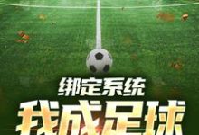 绑定系统：我成足球小飞人章节免费在线阅读，安迪完结版-扫文君