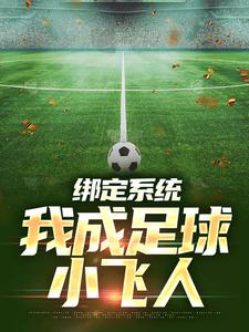 绑定系统：我成足球小飞人章节免费在线阅读，安迪完结版