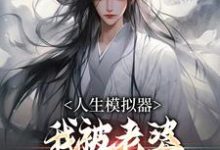 人生模拟器：我被老婆逼成世间极境白棋小说完结版章节在线阅读-扫文君