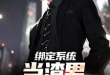 陈泽小说完结版在线阅读，绑定系统，当渣男就能暴富免费看-扫文君