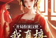 开局扮演汉使，我直接收揽后宫小说完结版章节免费阅读-扫文君