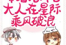闪婚后，带着指挥官大人在星际乘风破浪章节免费在线阅读，黎泽贺星决完结版-扫文君