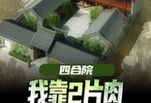 完结版《四合院：我靠2片肉俘获秦淮茹芳心》在线免费阅读-扫文君