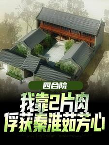完结版《四合院：我靠2片肉俘获秦淮茹芳心》在线免费阅读