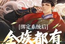 小说《绑定系统后，全族都有我的子嗣》章节免费阅读-扫文君