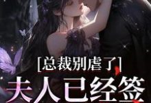 小说《总裁别虐了,夫人已经签了离婚书》章节免费阅读-扫文君