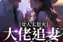 《女人太惹火，大佬追妻有点甜》全集免费在线阅读（宋苒）-扫文君