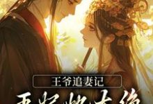 王爷追妻记：王妃她太绝，藏不住啦小说全文阅读需要付费吗？寻找免费资源-扫文君