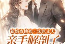 《新婚夜惨死，法医丈夫亲手解剖了我的尸体》小说章节列表免费试读，顾南城江黎小说在线阅读-扫文君
