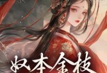 已完结小说《奴本金枝，誓不为妾》章节免费阅读-扫文君