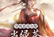 乔挽颜小说穿成恶毒女配，当绿茶这么有趣？章节免费阅读-扫文君