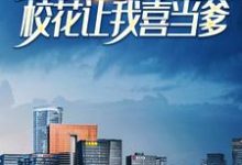 完结版《被女友分手后，校花让我喜当爹》章节阅读-扫文君