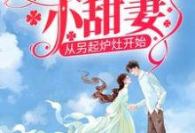 八零娇娇小甜妻，从另起炉灶开始小说的所有章节都能在哪里免费读到？-扫文君