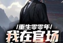 重生零零年:我在官场如鱼得水小说无弹窗阅读的网站推荐-扫文君