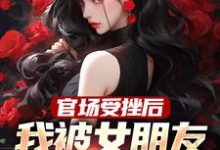 官场受挫后，我被女朋友甩了小说有没有完结版在线？-扫文君