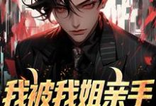 我被我姐亲手送进夜总会王大力，我被我姐亲手送进夜总会在线无弹窗阅读-扫文君
