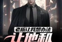 完结版《老板让我想办法,让他和老婆离婚》免费阅读-扫文君