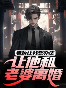 完结版《老板让我想办法，让他和老婆离婚》免费阅读