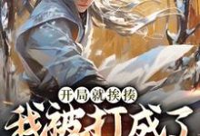 开局就挨揍，我被打成了武林至尊小说全文阅读需要付费吗？寻找免费资源-扫文君