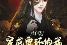 免费在线阅读红楼：穿成贾环的我成了贾府顶梁柱小说的正规网站有哪些？-扫文君