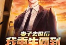 吴为小说妻子去世后，我重生回到高考那年章节免费阅读-扫文君