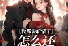 已完结小说《我都说斩情了，怎么还让我相亲》章节免费阅读-扫文君
