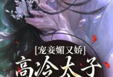 宁宁萧璲小说完结版在线阅读，宠妾媚又娇，高冷太子为她失了魂免费看-扫文君