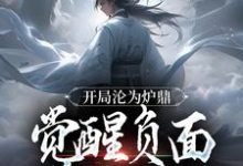 在线寻找开局沦为炉鼎，觉醒负面逆转系统小说的无删减版本-扫文君