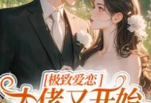 极致爱恋，大佬又开始攻心了小说完结版章节免费阅读-扫文君