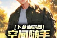 寻找能够免费阅读下乡当霸总，空间随手一套就有货小说的平台-扫文君