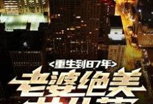 完结版《重生到87年，老婆绝美女儿萌》免费阅读-扫文君