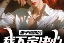 完结版《妻子逃婚后，我下定决心选了她》章节目录在线阅读-扫文君