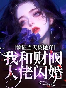 领证当天被抛弃，我和财阀大佬闪婚免费阅读，领证当天被抛弃，我和财阀大佬闪婚章节在线阅读