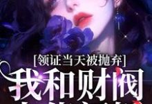 领证当天被抛弃，我和财阀大佬闪婚这本小说怎么样？免费在线阅读试试-扫文君