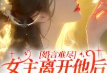 婚言难尽：女主离开他后独当一面小说有没有完结版在线？-扫文君