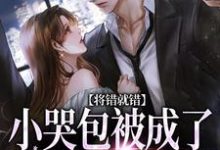 将错就错：小哭包被成了大佬心尖宠小说，将错就错：小哭包被成了大佬心尖宠慕汀洲姜桃-扫文君