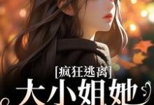 沈京瓷霍骁小说《疯狂逃离！大小姐她不做备选》在线阅读-扫文君